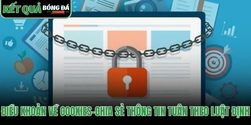 Cam kết không bán dữ liệu và tuân thủ quy định