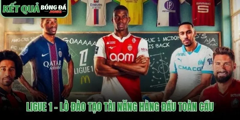 Nơi sản sinh tài năng từ hệ thống học viện bài bản