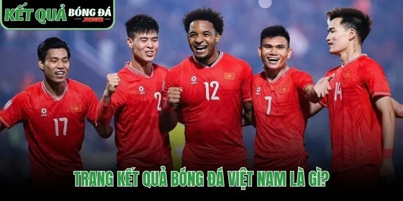 Trung tâm dữ liệu chuyên sâu về các giải đấu quốc nội