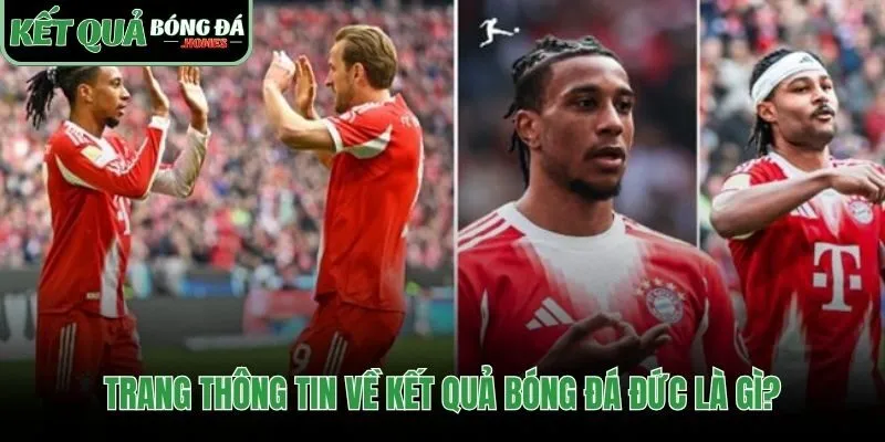 Nơi tra cứu kết quả bóng đá Đức không bị nhiễu loạn