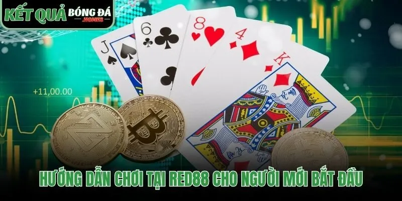 Các bước khởi đầu trải nghiệm cá cược trực tuyến