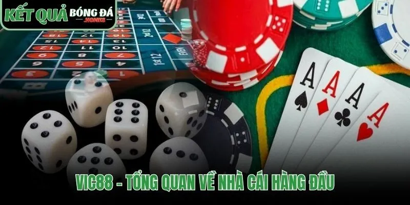 Tổng hợp thông tin cơ bản về nền tảng Vic88